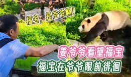 福宝爷爷爆料福宝视频下载,福宝视频下载攻略大公开