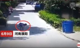 河南一小区爆料事件最新,业主维权引发关注，真相背后引热议